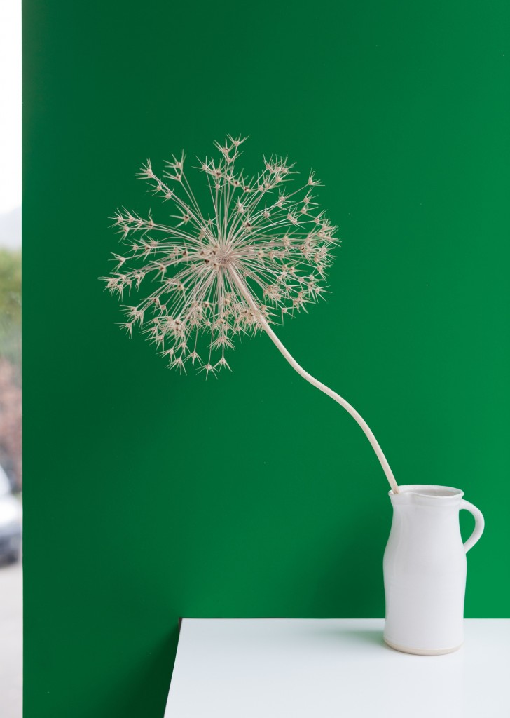 Dulux Emerald Delight 3