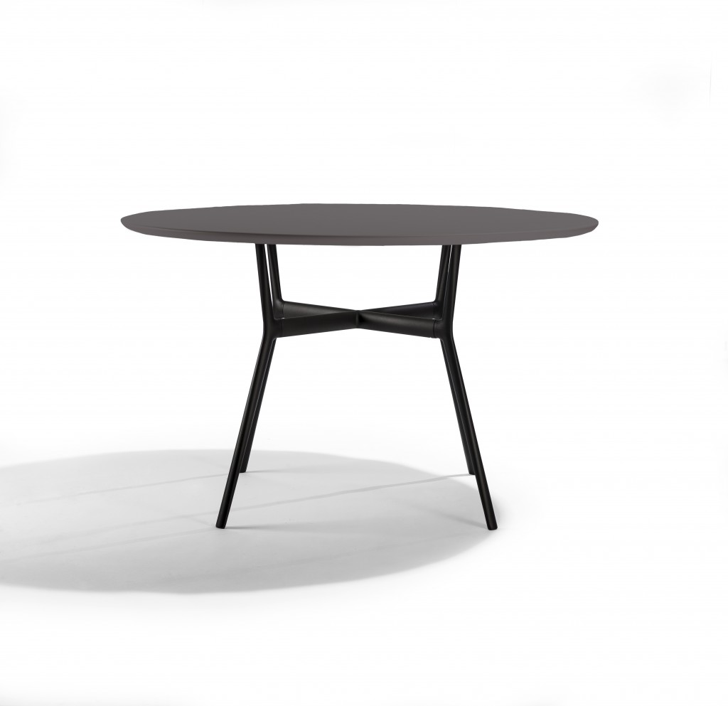 TRIBU Branch table