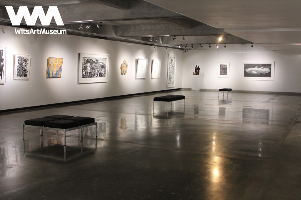 Wits Art Museum