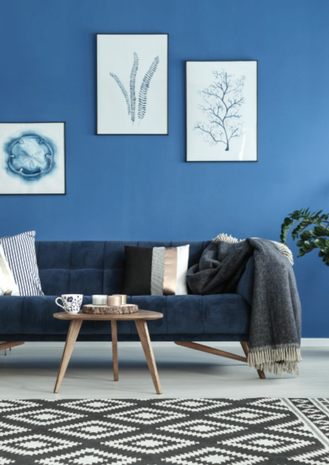 How to select paint colours for your home
